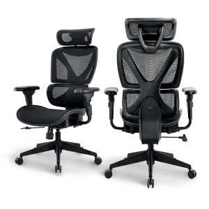 Bea Ergonomic Office Chair