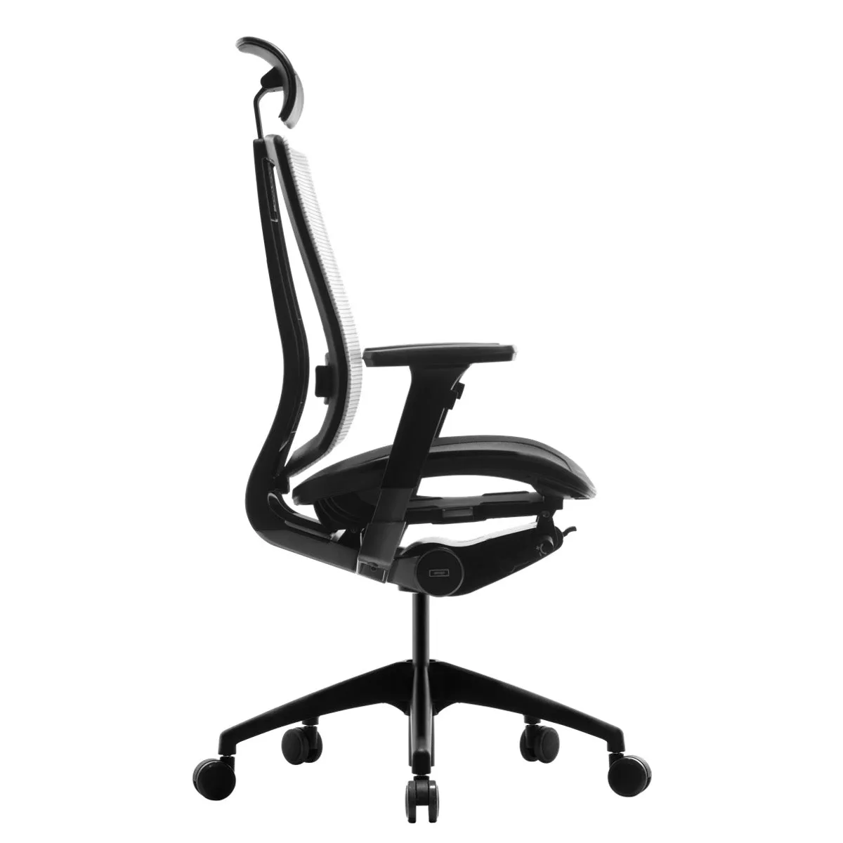 Bravo Ergonomic Computer Chair