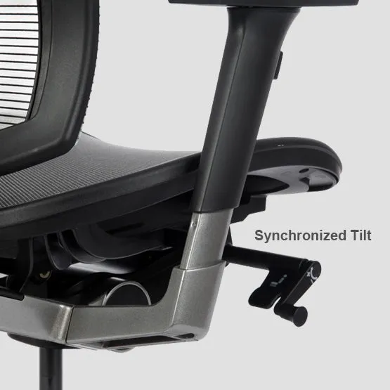 Bravo Ergonomic Computer Chair