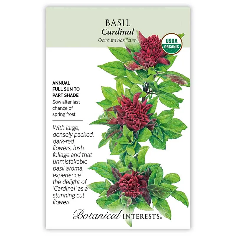 Cardinal Basil Seeds