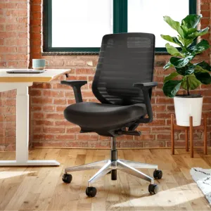 Ergonomic Chair