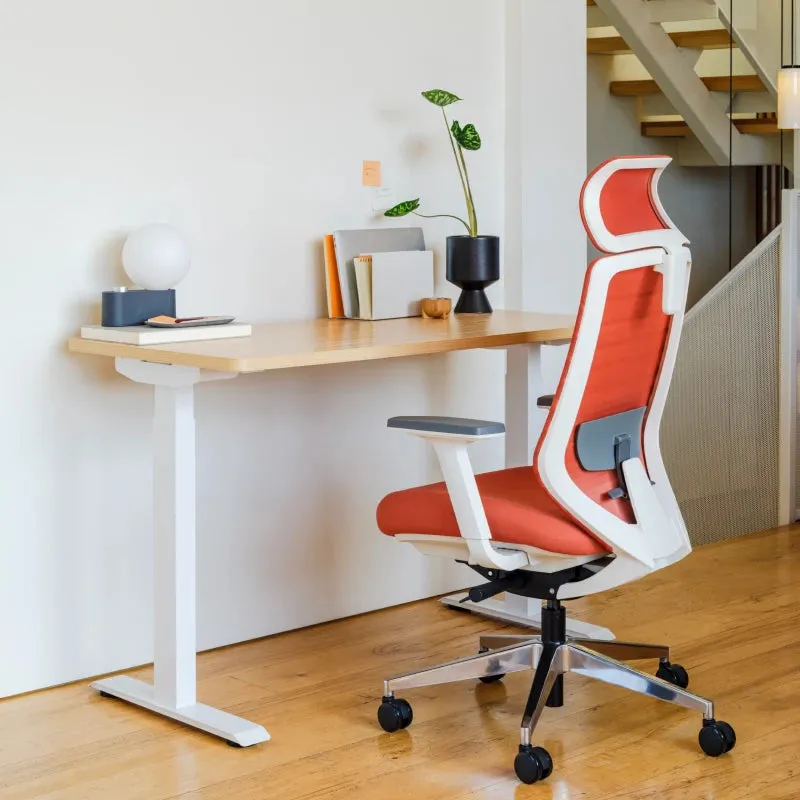 Ergonomic Chair