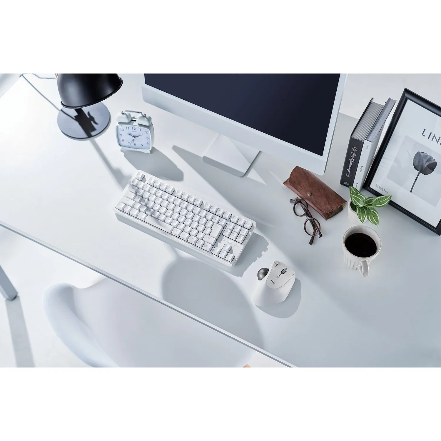 IST Ergonomic Trackball Wireless