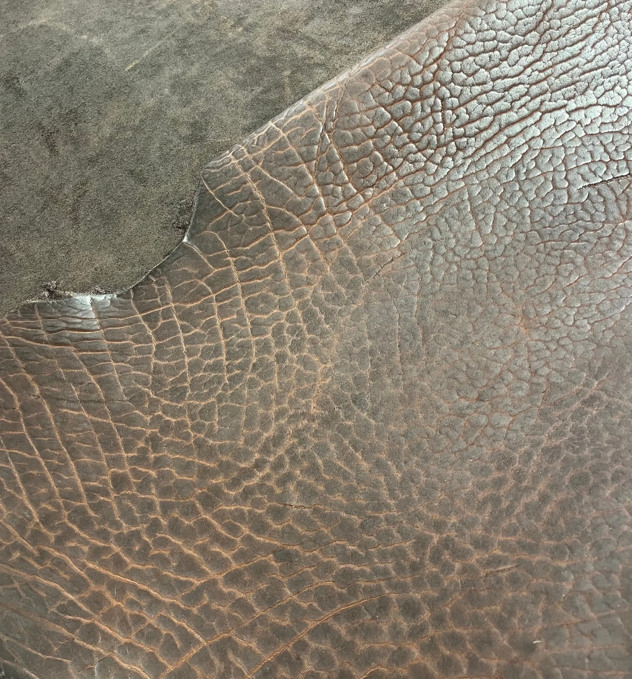 Premium Buffalo Leather – American Bison Hides