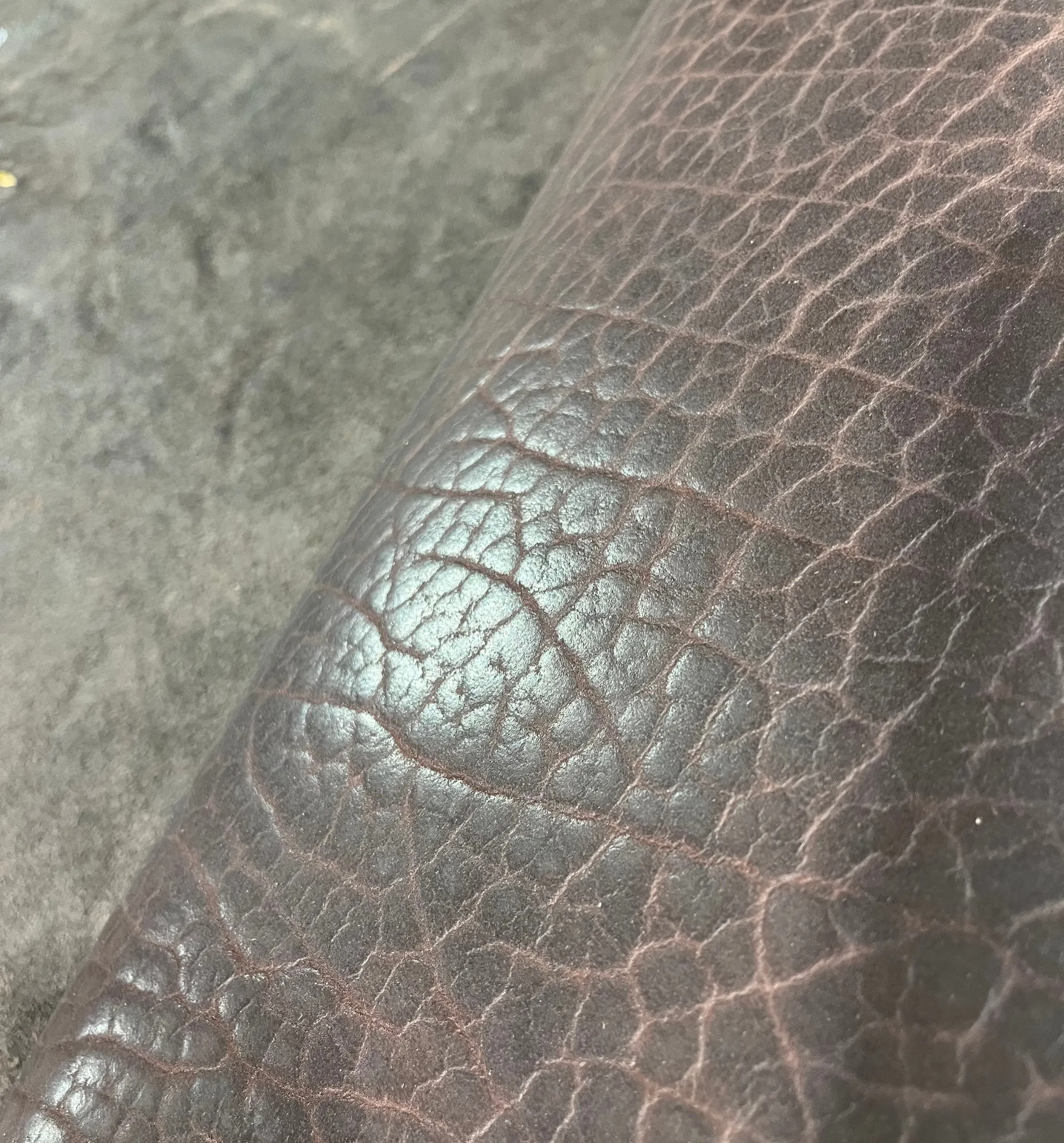 Premium Buffalo Leather – American Bison Hides