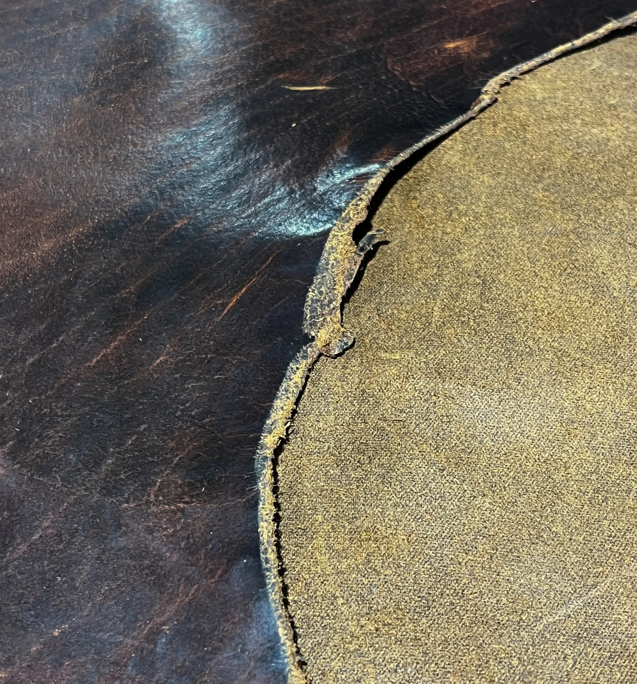 Premium Buffalo Leather – American Bison Hides